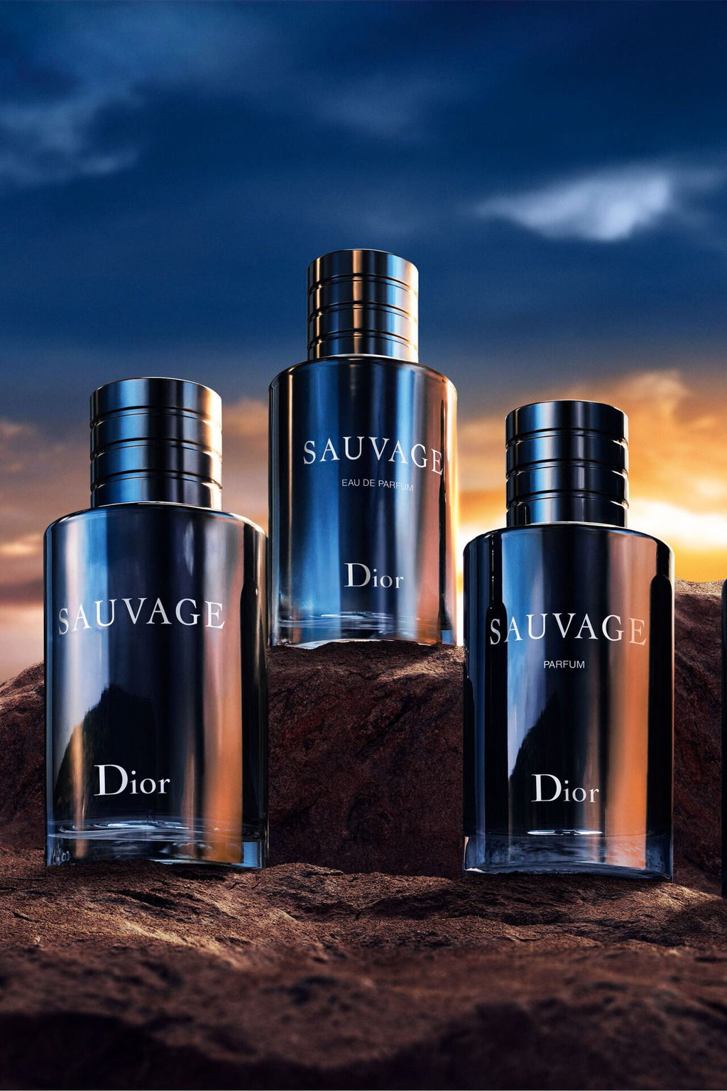 Sauvage Eau de Parfum - Limited Edition